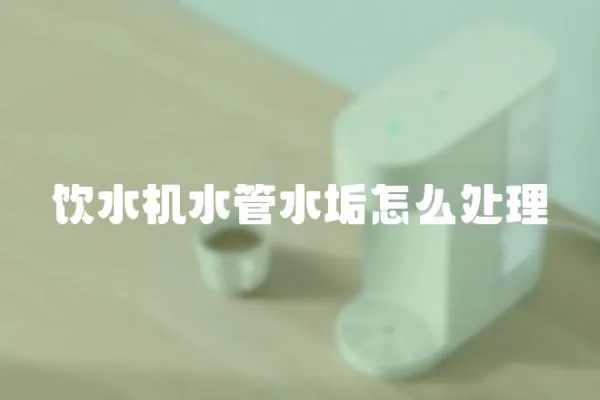 飲水機水管水垢怎么處理