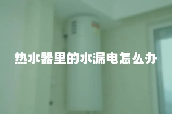 熱水器里的水漏電怎么辦