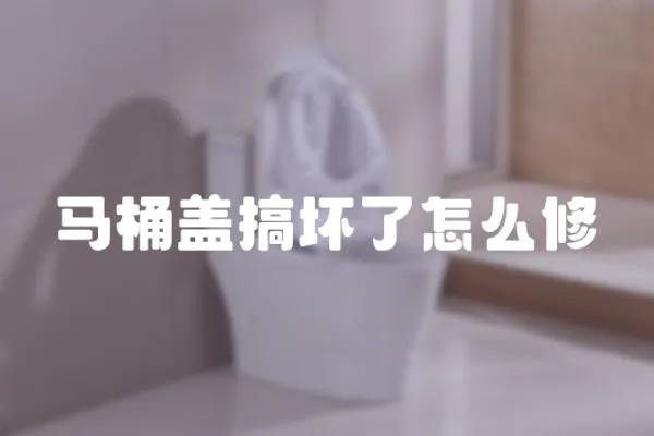 馬桶蓋搞壞了怎么修