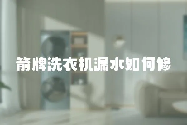 箭牌洗衣機漏水如何修