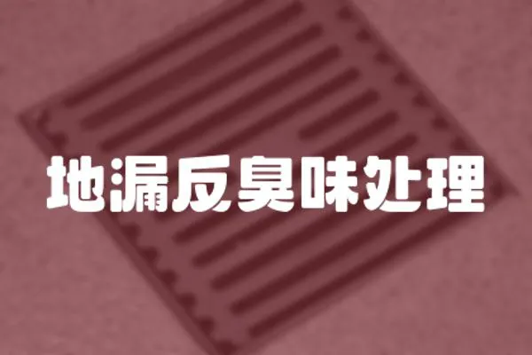 地漏反臭味處理