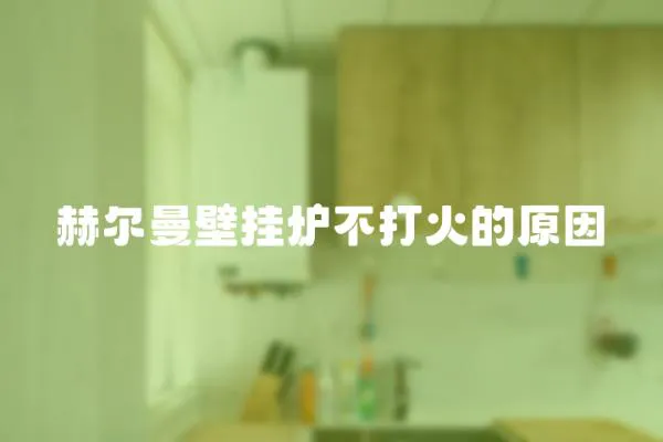 赫爾曼壁掛爐不打火的原因