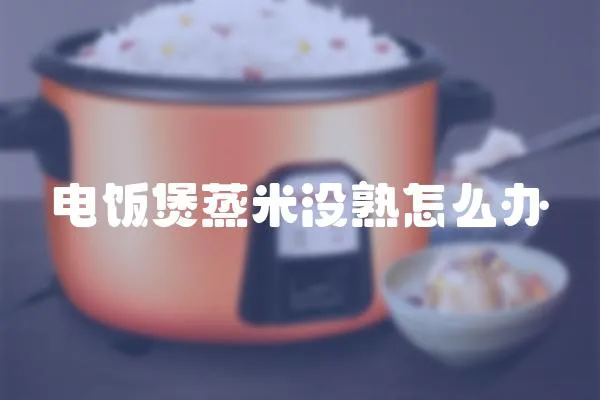 電飯煲蒸米沒熟怎么辦