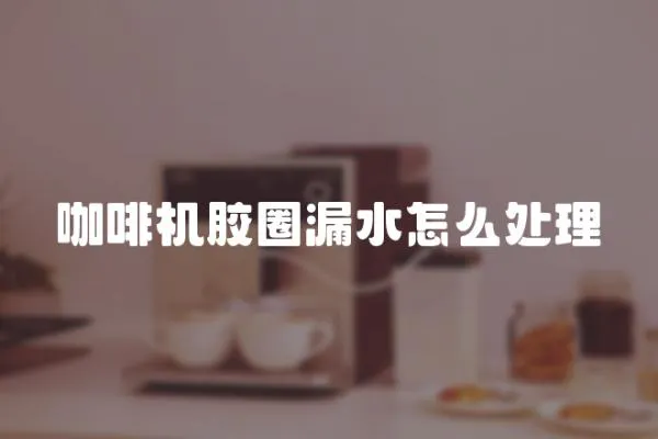 咖啡機膠圈漏水怎么處理