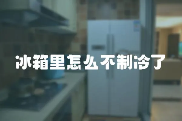 冰箱里怎么不制冷了