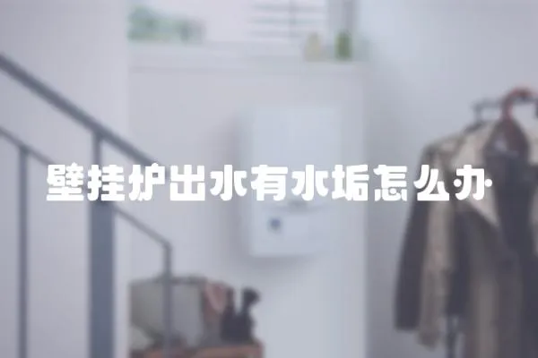 壁掛爐出水有水垢怎么辦