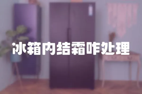 冰箱內結霜咋處理