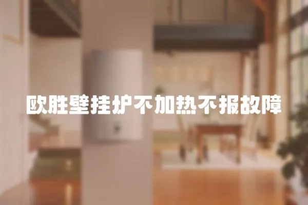 歐勝壁掛爐不加熱不報故障