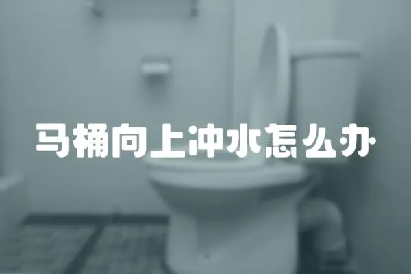 馬桶向上沖水怎么辦