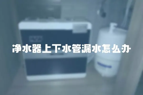 凈水器上下水管漏水怎么辦