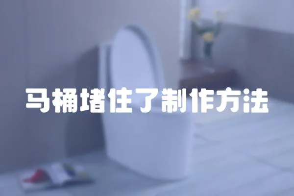 馬桶堵住了制作方法