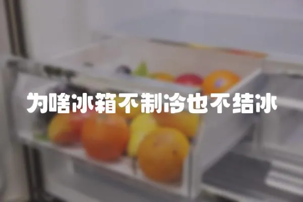 为啥冰箱不制冷也不结冰