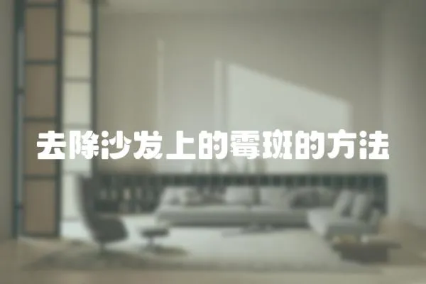 去除沙發(fā)上的霉斑的方法
