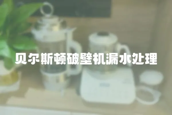 貝爾斯頓破壁機漏水處理