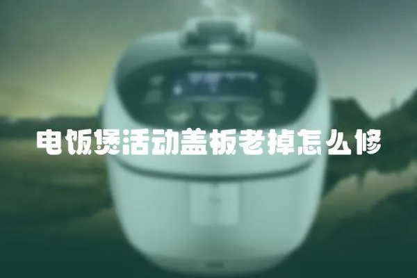 電飯煲活動蓋板老掉怎么修
