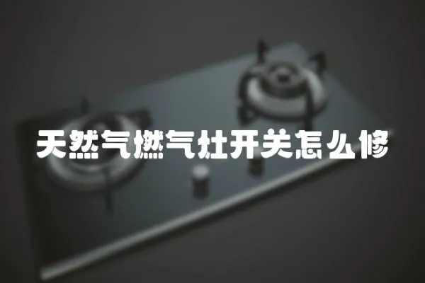 天然氣燃?xì)庠铋_關(guān)怎么修