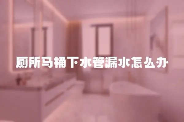 廁所馬桶下水管漏水怎么辦