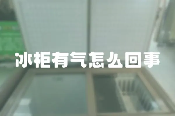 冰柜有氣怎么回事