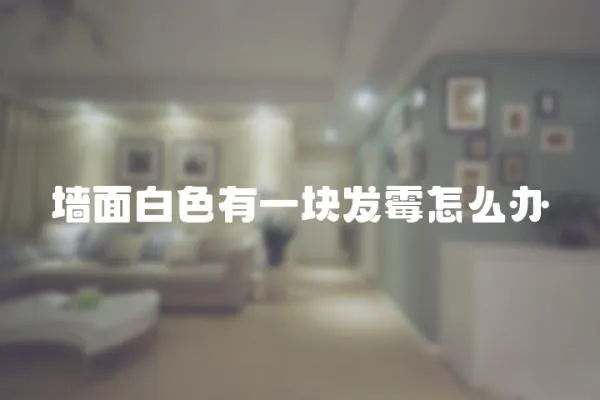 墻面白色有一塊發霉怎么辦