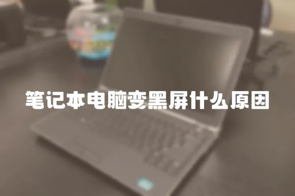 筆記本電腦變黑屏什么原因
