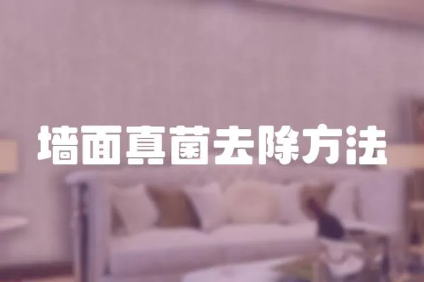 墻面真菌去除方法