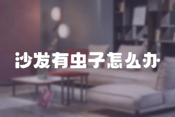 沙發有蟲子怎么辦