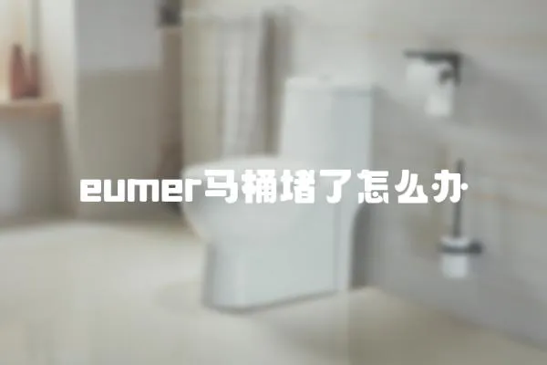 eumer馬桶堵了怎么辦
