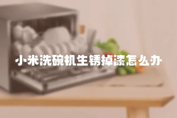 小米洗碗機生銹掉漆怎么辦