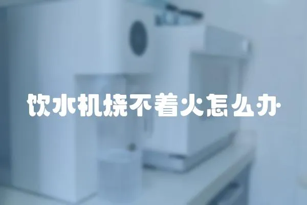 飲水機燒不著火怎么辦