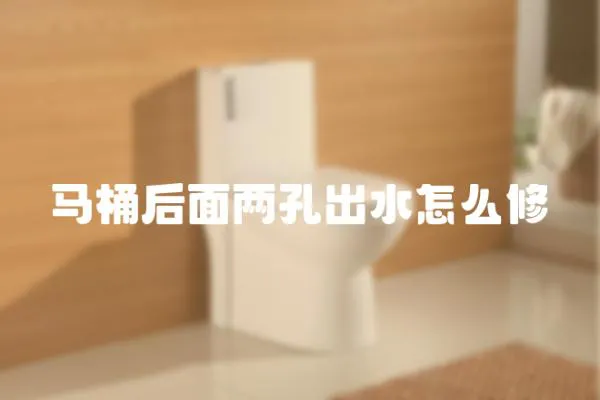 馬桶后面兩孔出水怎么修