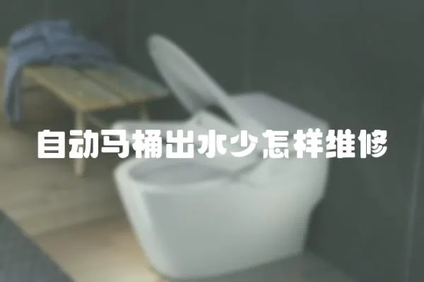 自動馬桶出水少怎樣維修