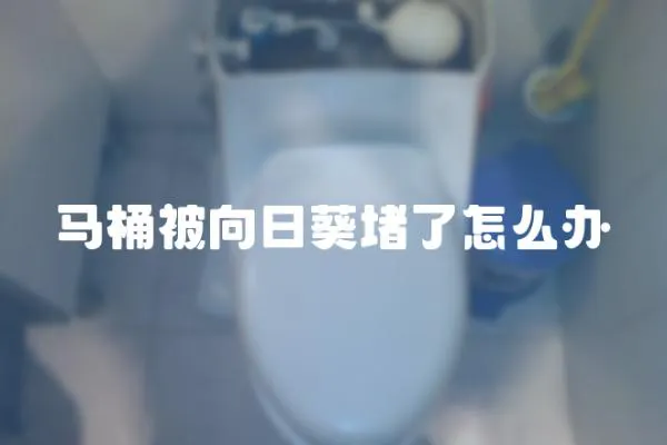 馬桶被向日葵堵了怎么辦