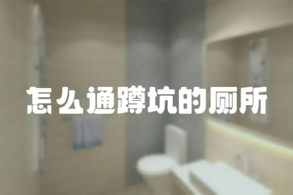 怎么通蹲坑的廁所