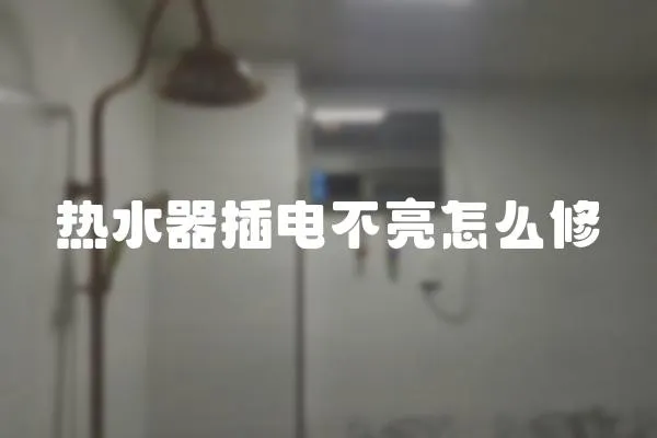 熱水器插電不亮怎么修