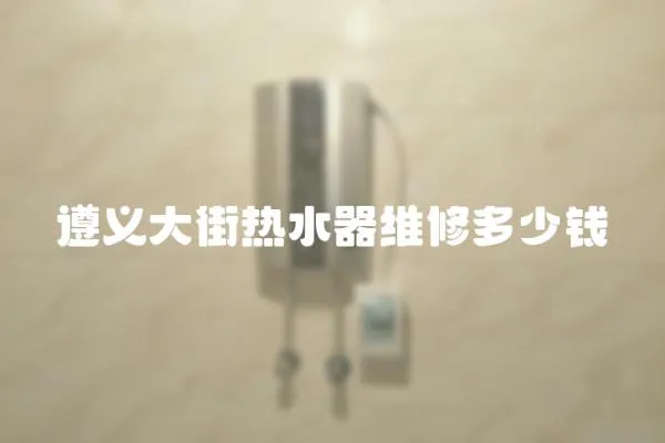 遵義大街熱水器維修多少錢