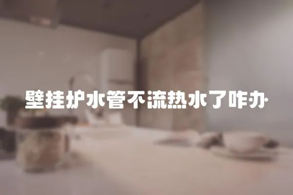 壁掛爐水管不流熱水了咋辦
