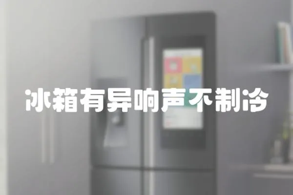 冰箱有異響聲不制冷