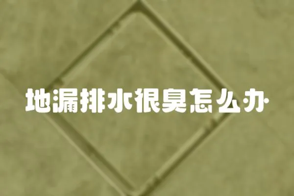 地漏排水很臭怎么辦