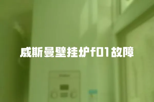 威斯曼壁掛爐f01故障