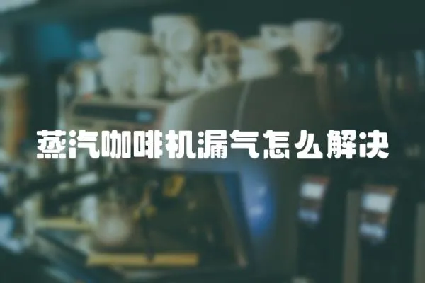 蒸汽咖啡機漏氣怎么解決