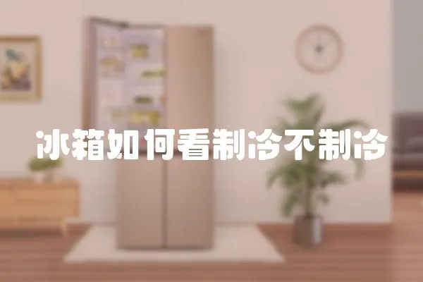 冰箱如何看制冷不制冷