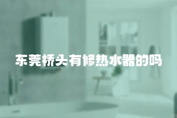 東莞橋頭有修熱水器的嗎
