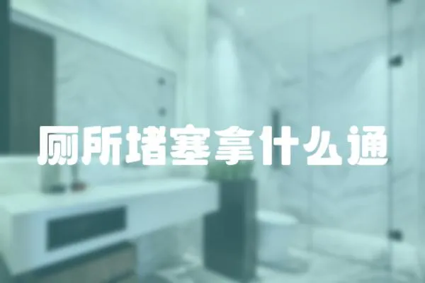 廁所堵塞拿什么通