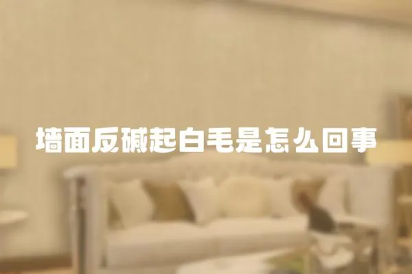 墻面反堿起白毛是怎么回事