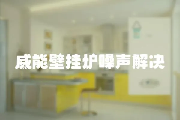 威能壁掛爐噪聲解決