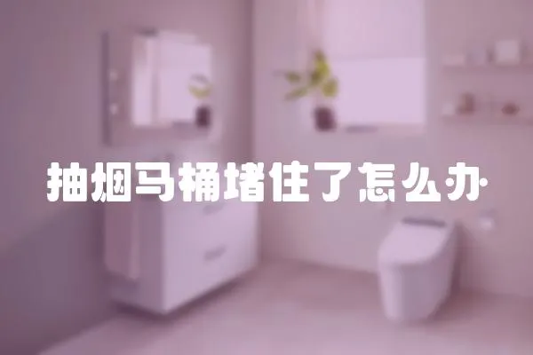 抽煙馬桶堵住了怎么辦