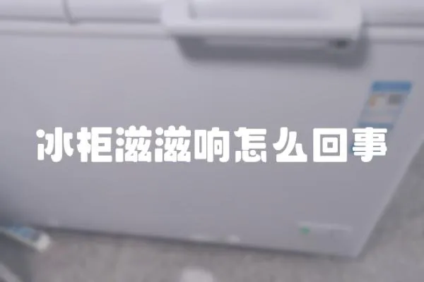 冰柜滋滋響怎么回事
