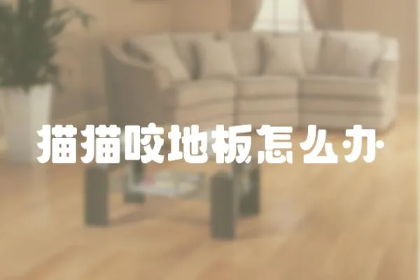 貓貓咬地板怎么辦