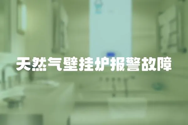 天然氣壁掛爐報警故障