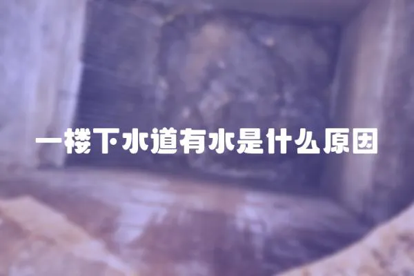 一樓下水道有水是什么原因